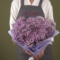Букет из сиреневой гипсофилы