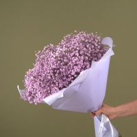 Букет из сиреневой гипсофилы