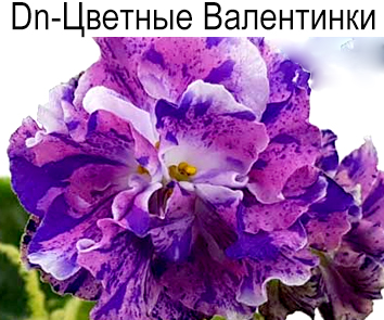 Dn-Цветные Валентинки (Денисенко)