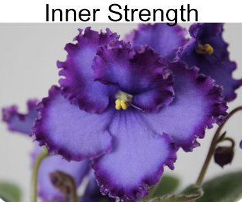 Inner Strength