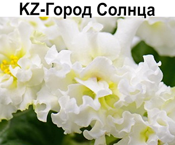 KZ-Город Солнца  НОВИНКА КАТАЛОГА!