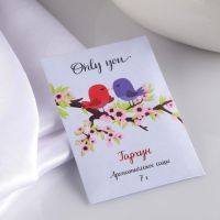 Аромасаше "Only you", тархун, вес 7 г, размер 7?10.5 см
