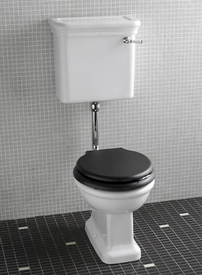 Унитаз Devon&Devon Etoile с низким бачком цена от 155 844 ₽ Фото Унитаз Devon&Devon Etoile с низким бачком