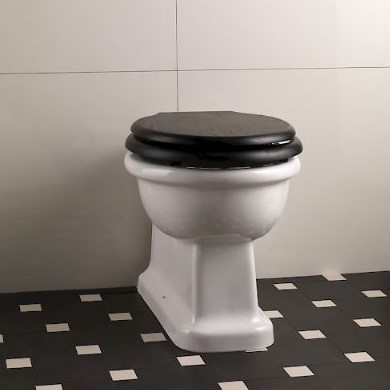 Devon&Devon Etoile приставной унитаз цена от 106 406 ₽ Фото Devon&Devon Etoile приставной унитаз