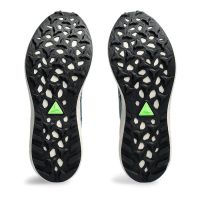 ASICS Fuji Lite 4 (1011B698-400)