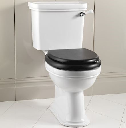 Унитаз напольный Devon&Devon Rose моноблок цена от 164 260 ₽ Фото Унитаз напольный Devon&Devon Rose моноблок