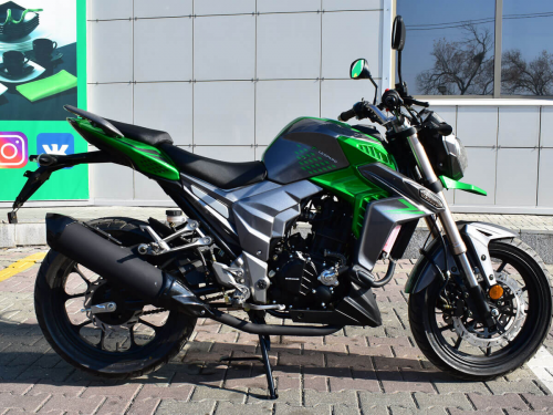 Мотоцикл Regulmoto T-Leopard 300 зеленый
