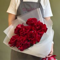 Розы французские Эксплорер