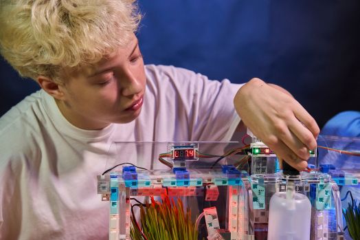 Академия Наураши «Умная теплица»