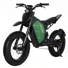 Электровелосипед IKINGI EBA S9