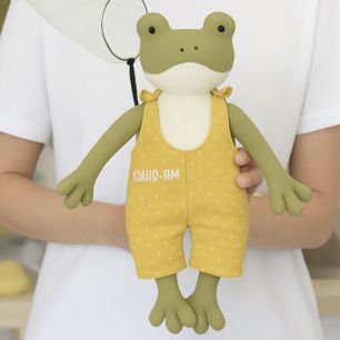 Набор для создания Лягушки-Путешественника