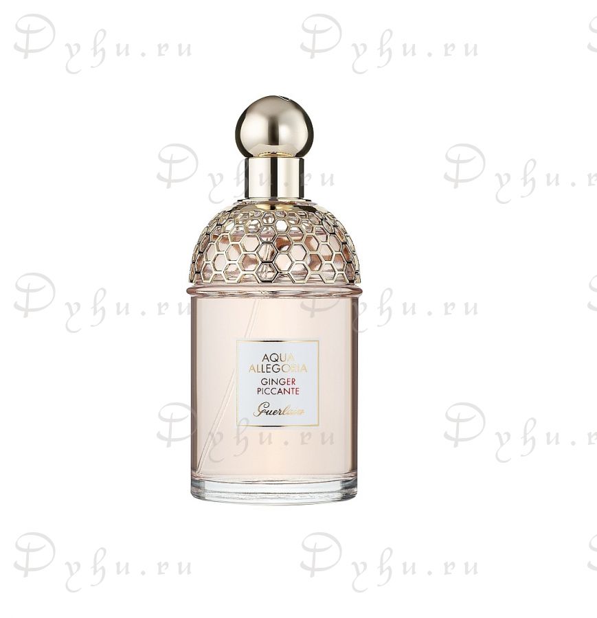 Guerlain Aqua Allegoria Ginger Piccante
