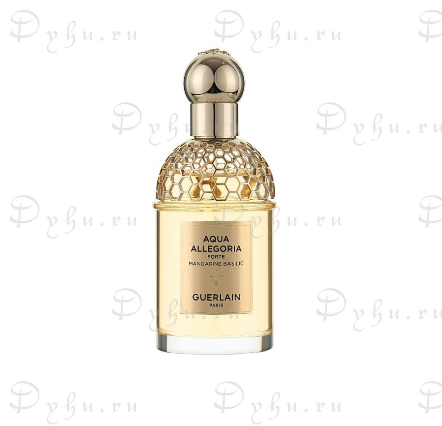 Guerlain Aqua Allegoria Forte Mandarine Basilic Eau de Parfum