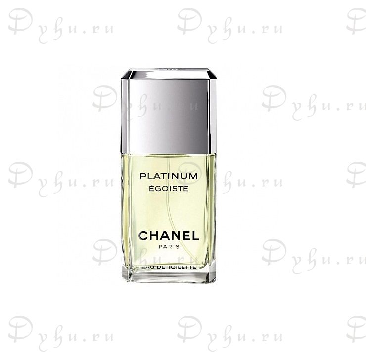 Chanel Egoiste Platinum Pour Homme