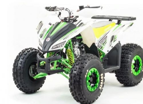 Квадроцикл MOTOLAND 125 COYOTE (2021 Г.)