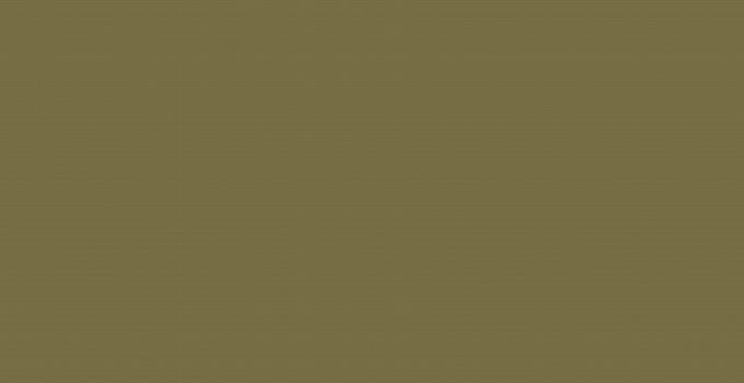1081 Khaki - monochrome collection столешница из hpl-пластика