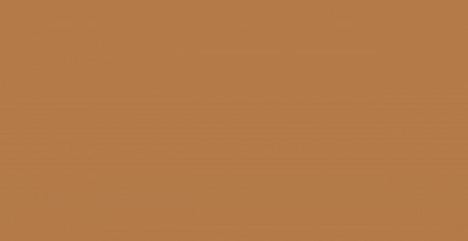 1072 Sepia - monochrome collection столешница из hpl-пластика
