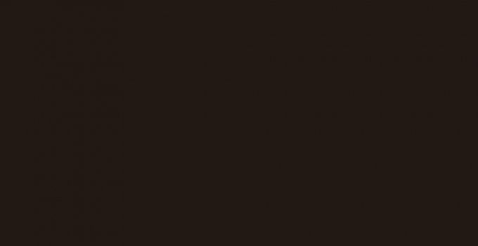 1043 Chocolate - monochrome collection столешница из hpl-пластика