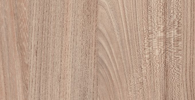 7172 Вяз Палермо темный - wooden collection столешница из hpl-пластика