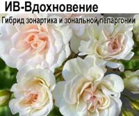 ИВ-Вдохновение