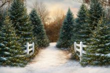 Фон стена "Lesnoe №7"