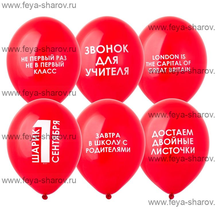 Шар 14" (32см) 1 сентября прикольные