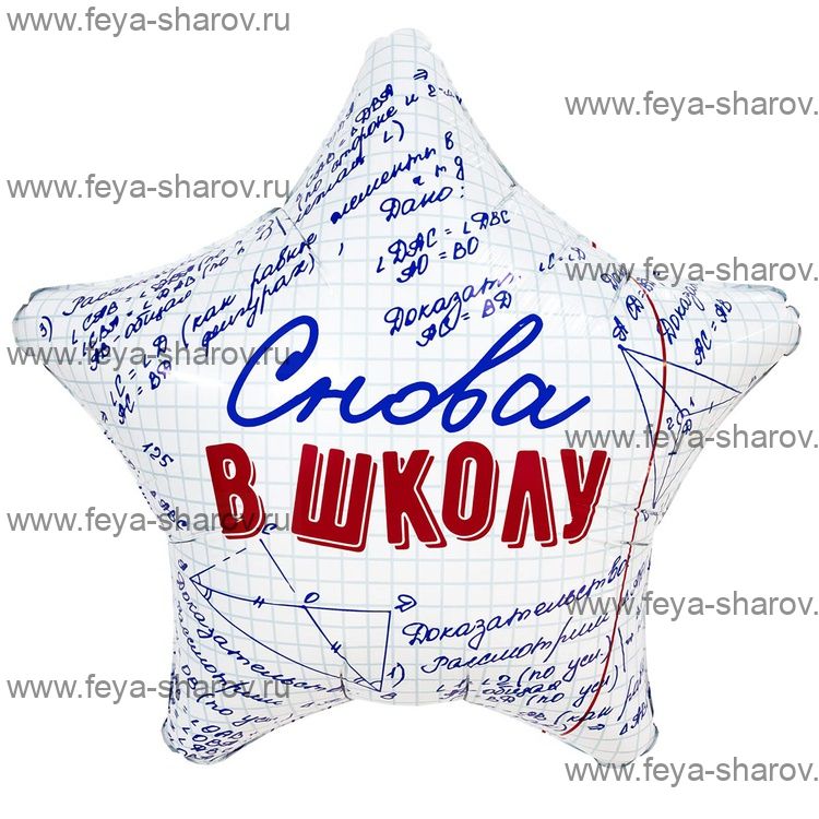 Шар Снова в школу! 46 см