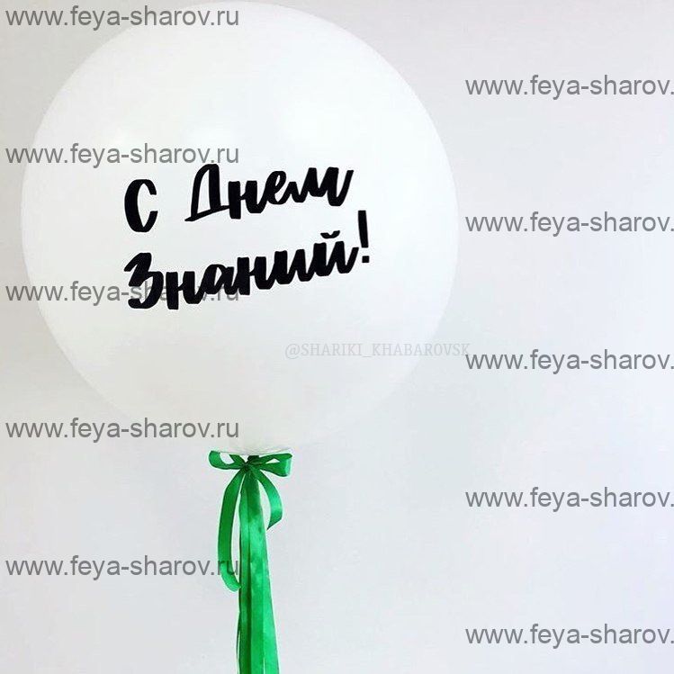 Шар 60 см С днем Знаний! (образец)