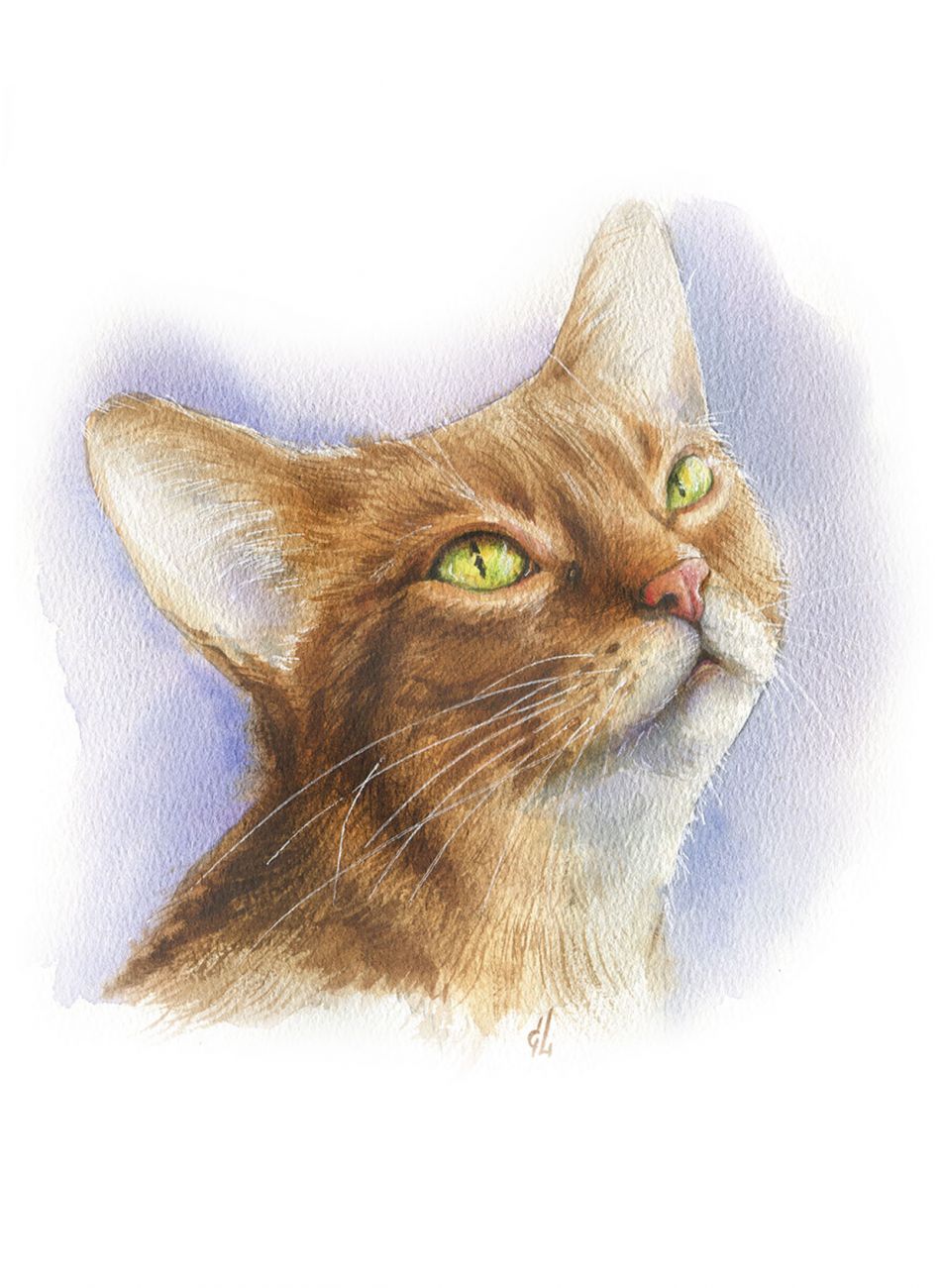 Кошачьи истории 2