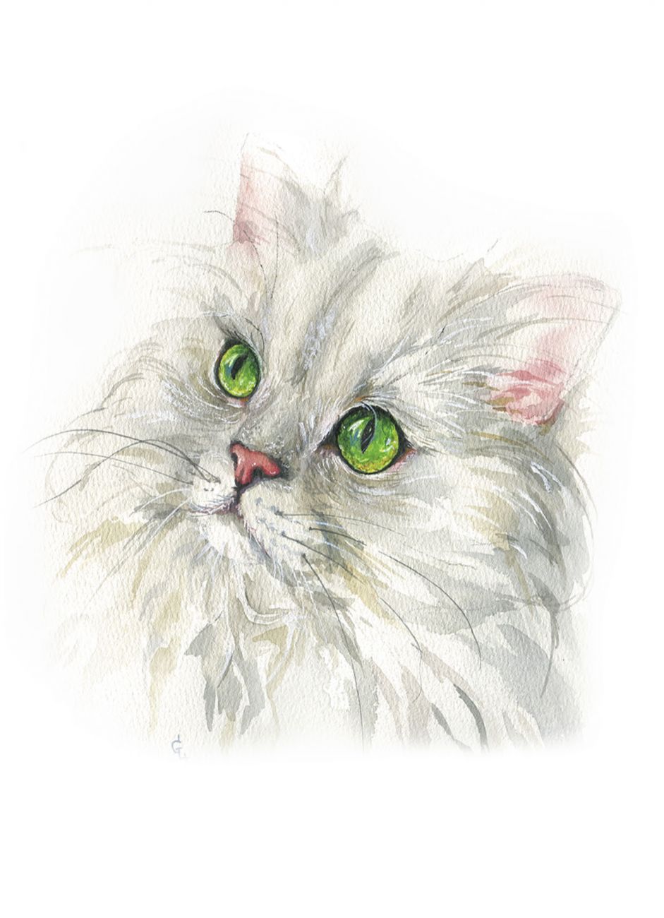 Кошачьи истории 3
