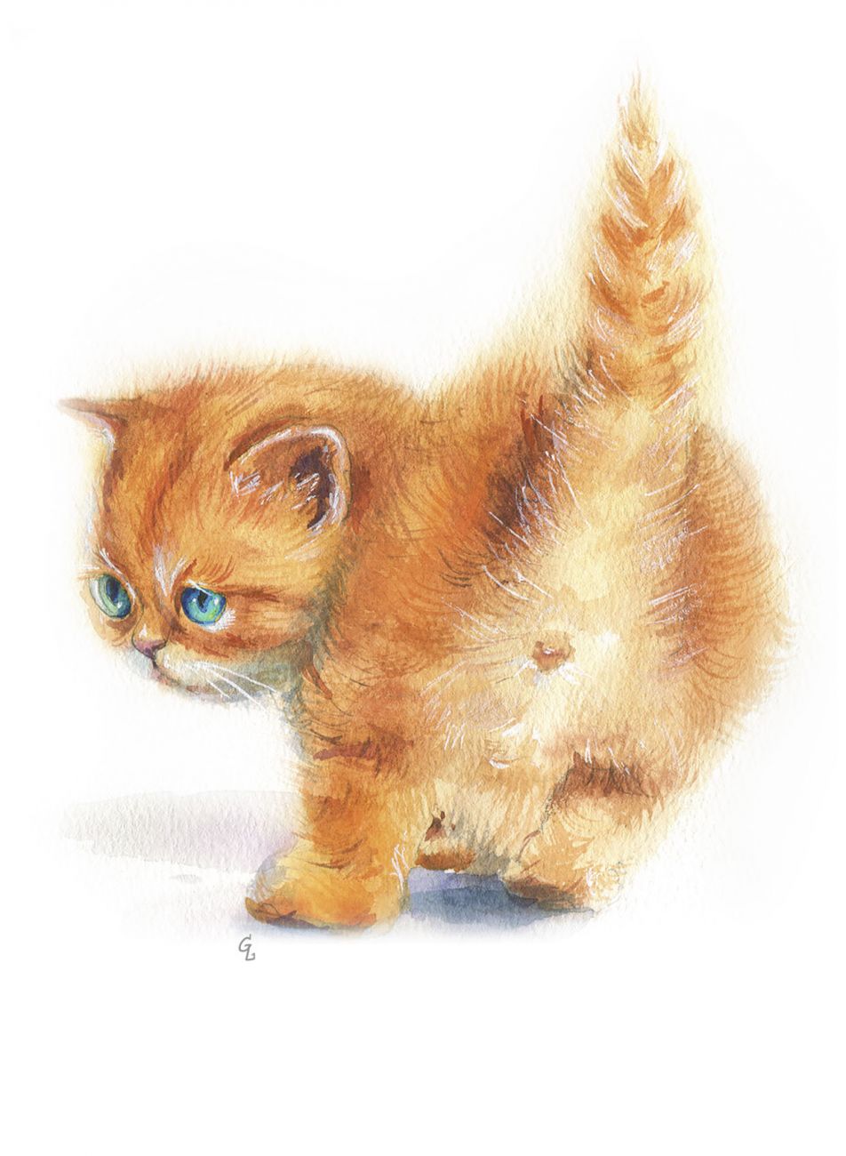 Кошачьи истории 4