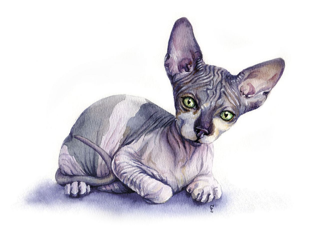 Кошачьи истории 6