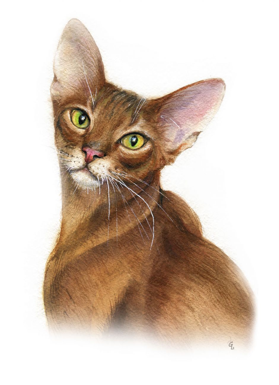 Кошачьи истории 8