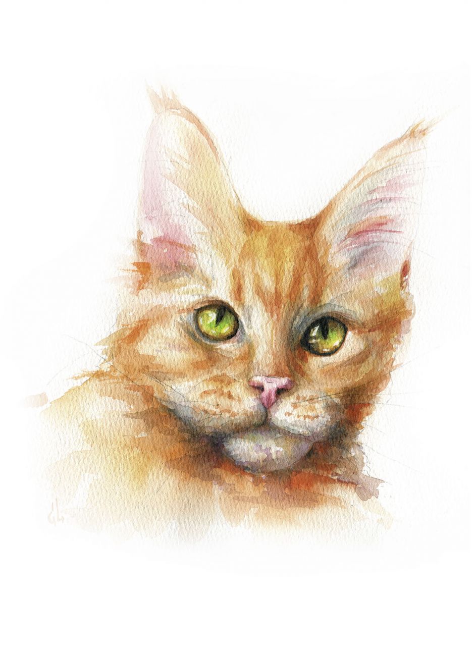 Кошачьи истории 11