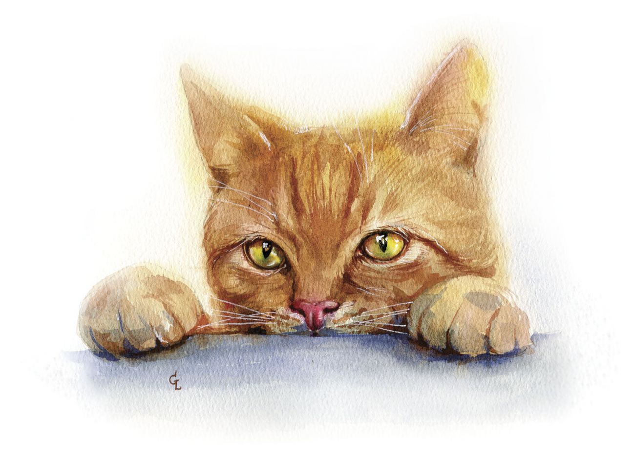 Кошачьи истории 12