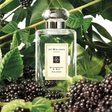 Jo Malone Blackberry & Bay Джо Малон Блэкбери энд Бэй