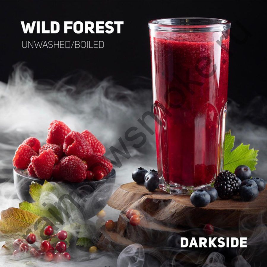 DarkSide Core 100 гр - Wild Forest (Вайлд Форест)