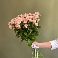 Нежная кустовая роза от 7шт