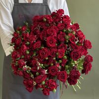 Красная кустовая роза от 7шт
