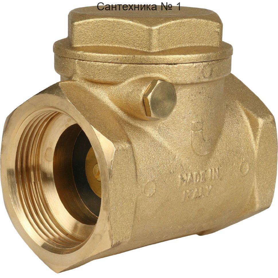 Клапан обратный 2 1/2" лепестковый горизонтальный с металлическим затвором и ревизией Itap