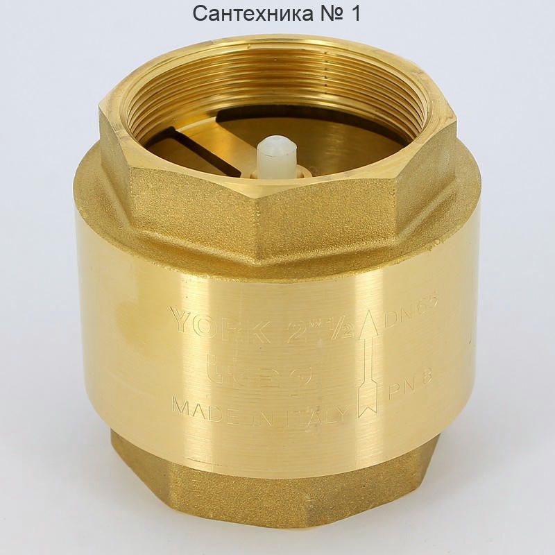 Клапан обратный 2 1/2" пружинный с пластиковым затвором YORK Itap