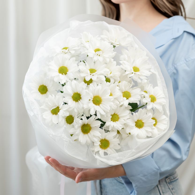 Хризантема от 5 шт (сорт Бакарди)