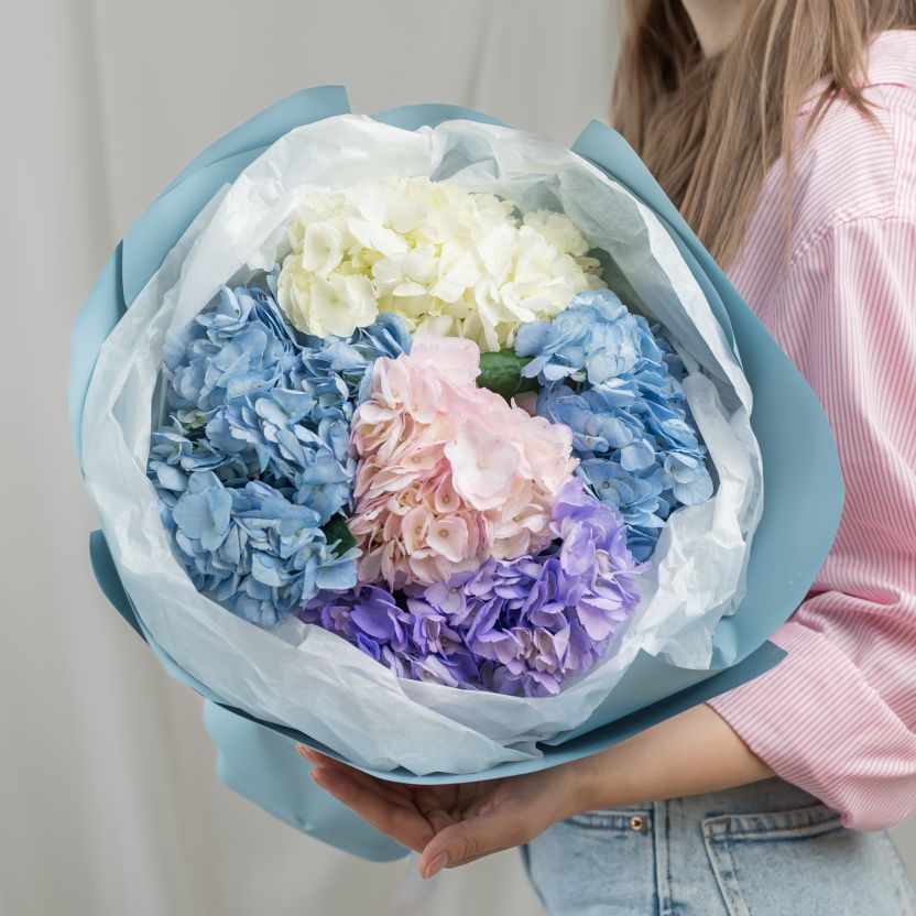 Гортензия от 5 шт (цвет микс)