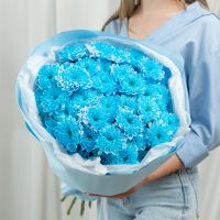 9 синих хризантем (сорт Алтай)