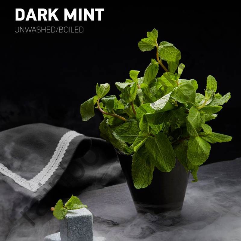 DarkSide Core 30 гр - Dark Mint (Дарк Минт)