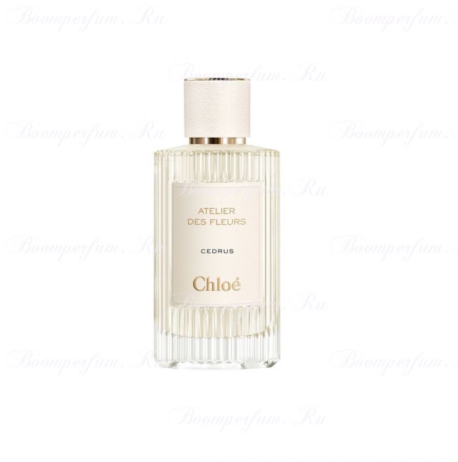 Chloé Cedrus, 150 ml