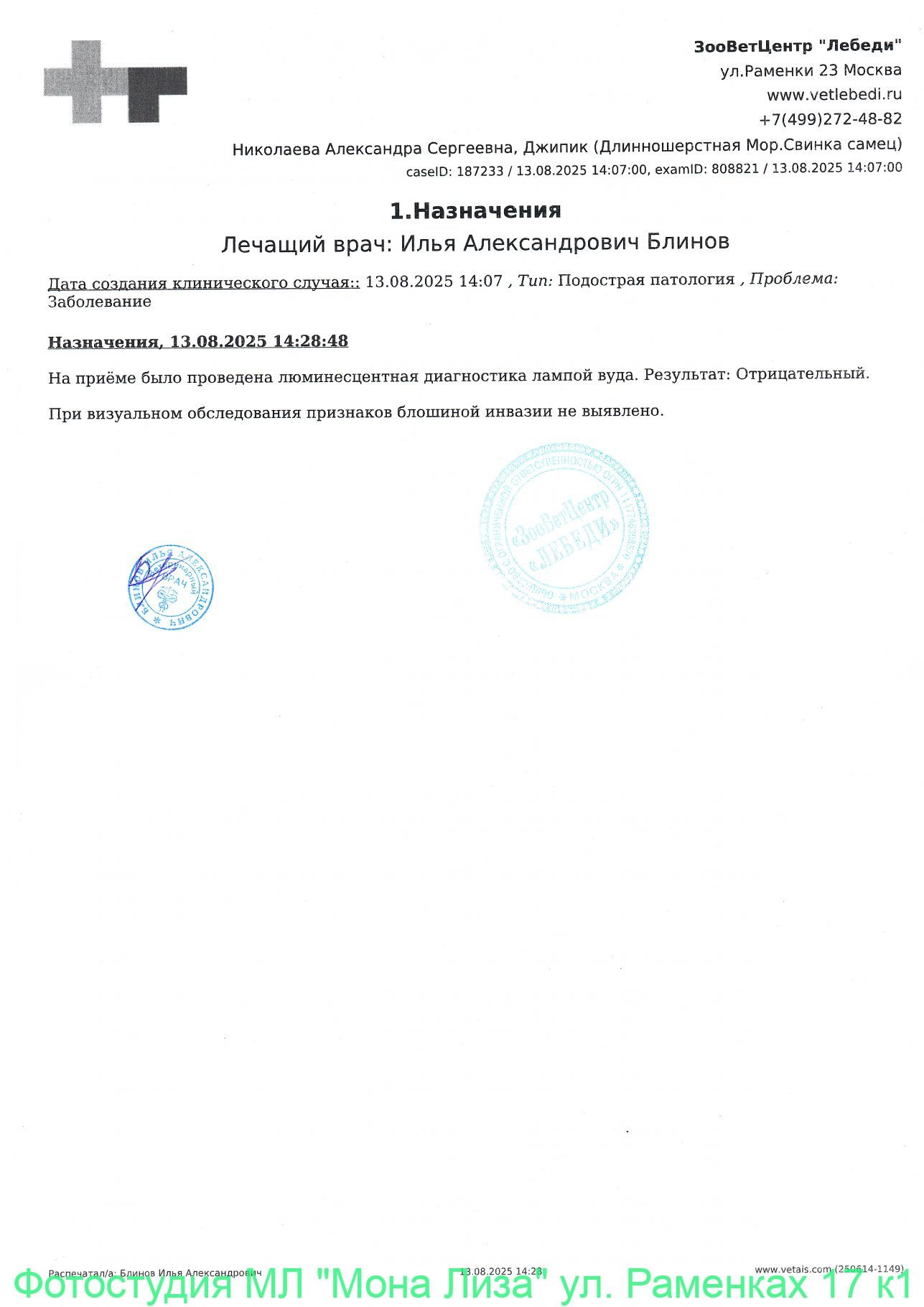 Справки о здоровье питомцев