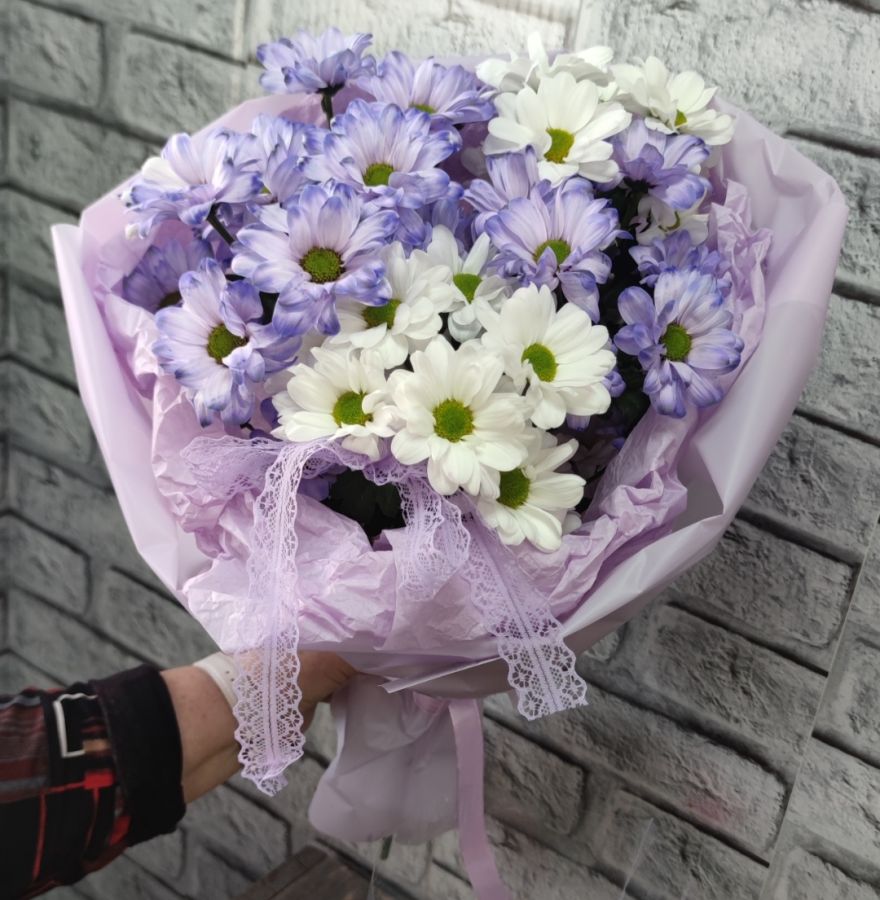 Комплимент из 5 хризантем