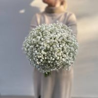 Букет невесты из гипсофилы