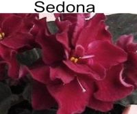 Sedona